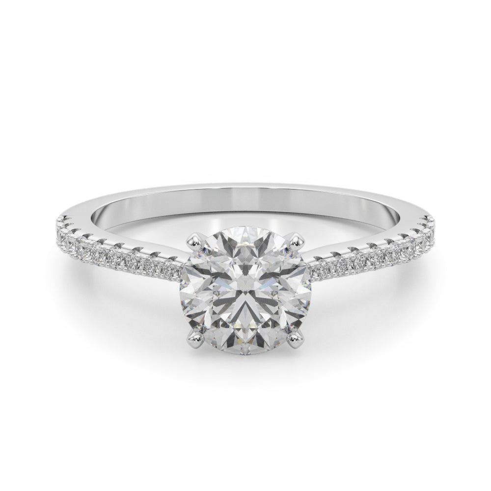 Remount Ring - View 2