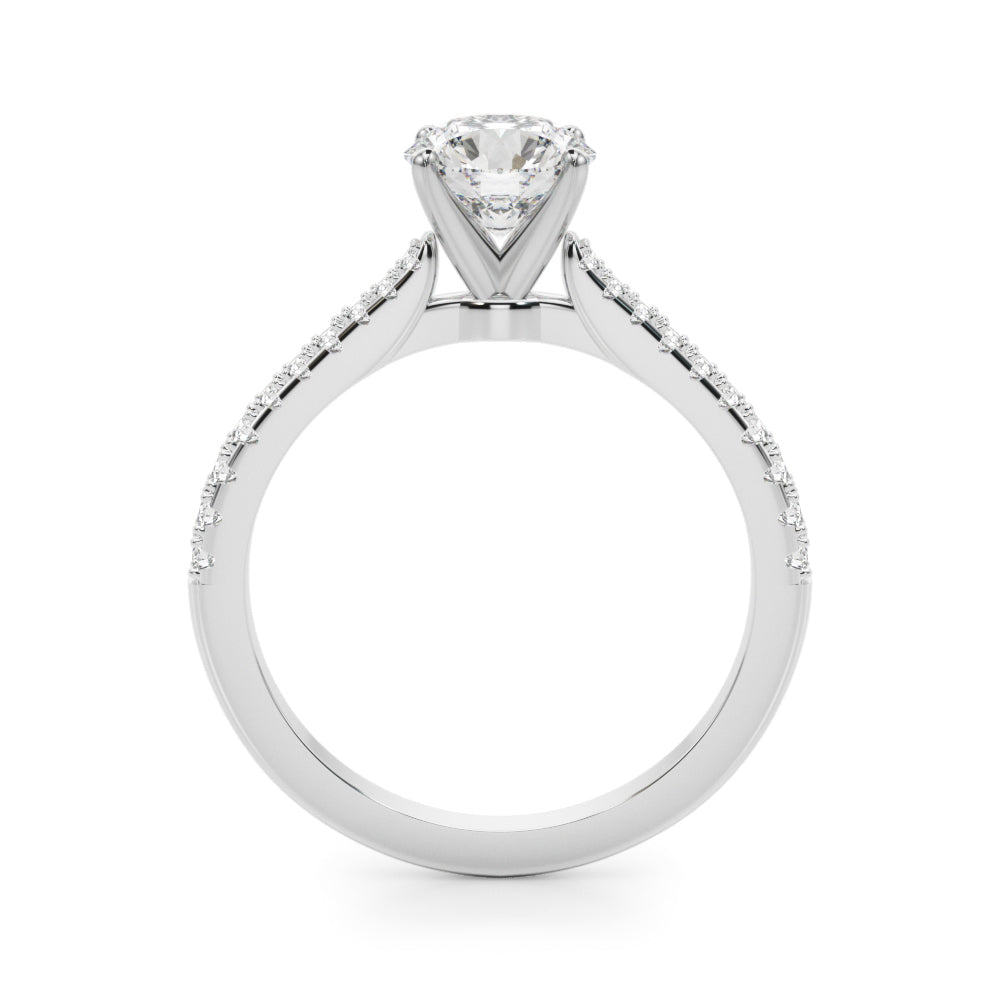 Remount Ring - View 4