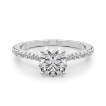 Remount Ring - View 2