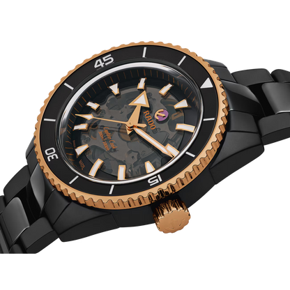 Rado Captain Cook Black Ceramic Titanium Automatic Watch 43 mm